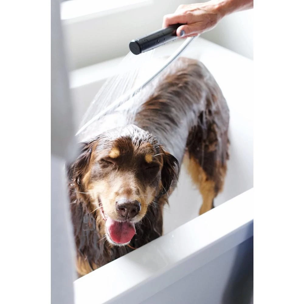 商品Pure + Good|Pet Scent Free Shampoo & Conditioner Set,价格¥209,第2张图片详细描述