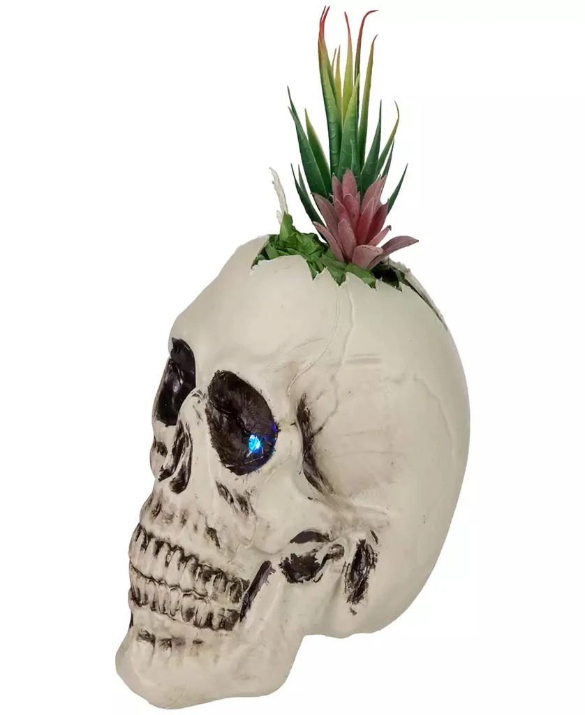 商品Northlight|8.75" LED Lighted Succulent Halloween Skull Planter,价格¥522,第3张图片详细描述