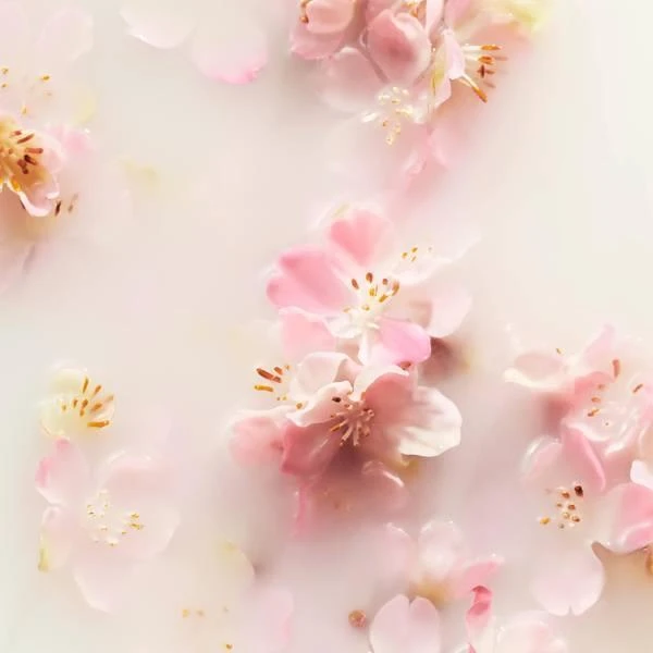 商品Rituals|Rituals The Ritual of Sakura Large Gift Set,价格¥506,第5张图片详细描述