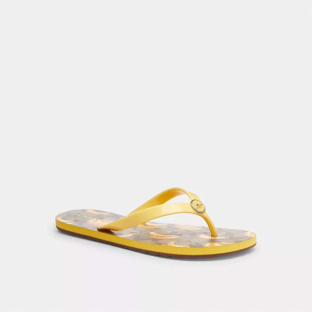 【 COACH 】 ゼイン フリップ フロップ・フルーツ Coach Zayn Flip Flop With Fruit Print - Slippers - BeyondStyle