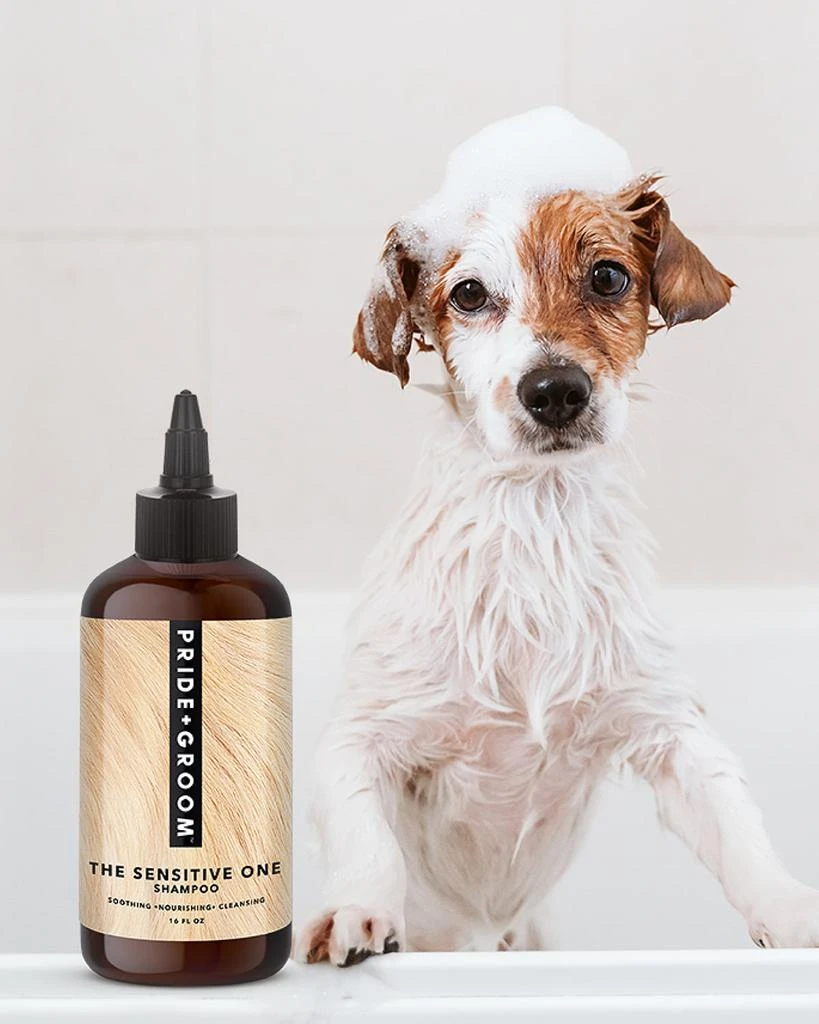 商品Pride + Groom|16 oz. The Sensitive One Dog Shampoo,价格¥249,第3张图片详细描述