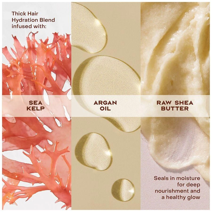 商品SheaMoisture|Raw Shea Butter Deep Moisturizing Shampoo,价格¥81,第5张图片详细描述