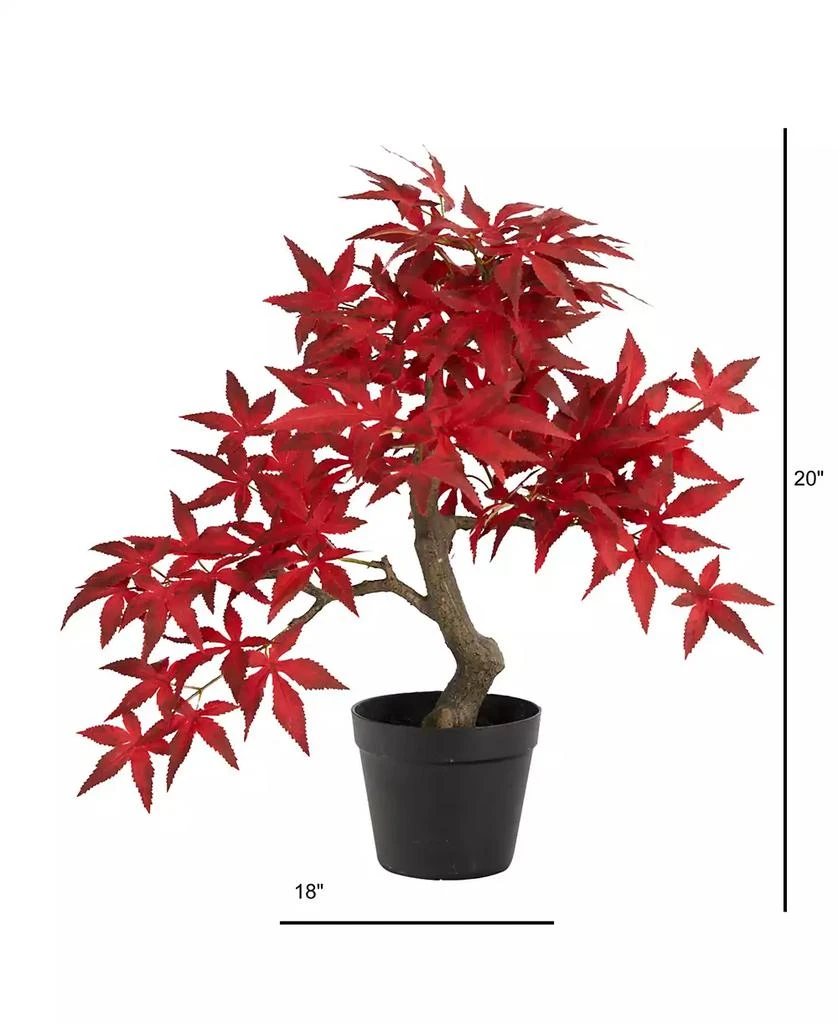 商品NEARLY NATURAL|Autumn Maple Bonsai, 20",价格¥618,第2张图片详细描述