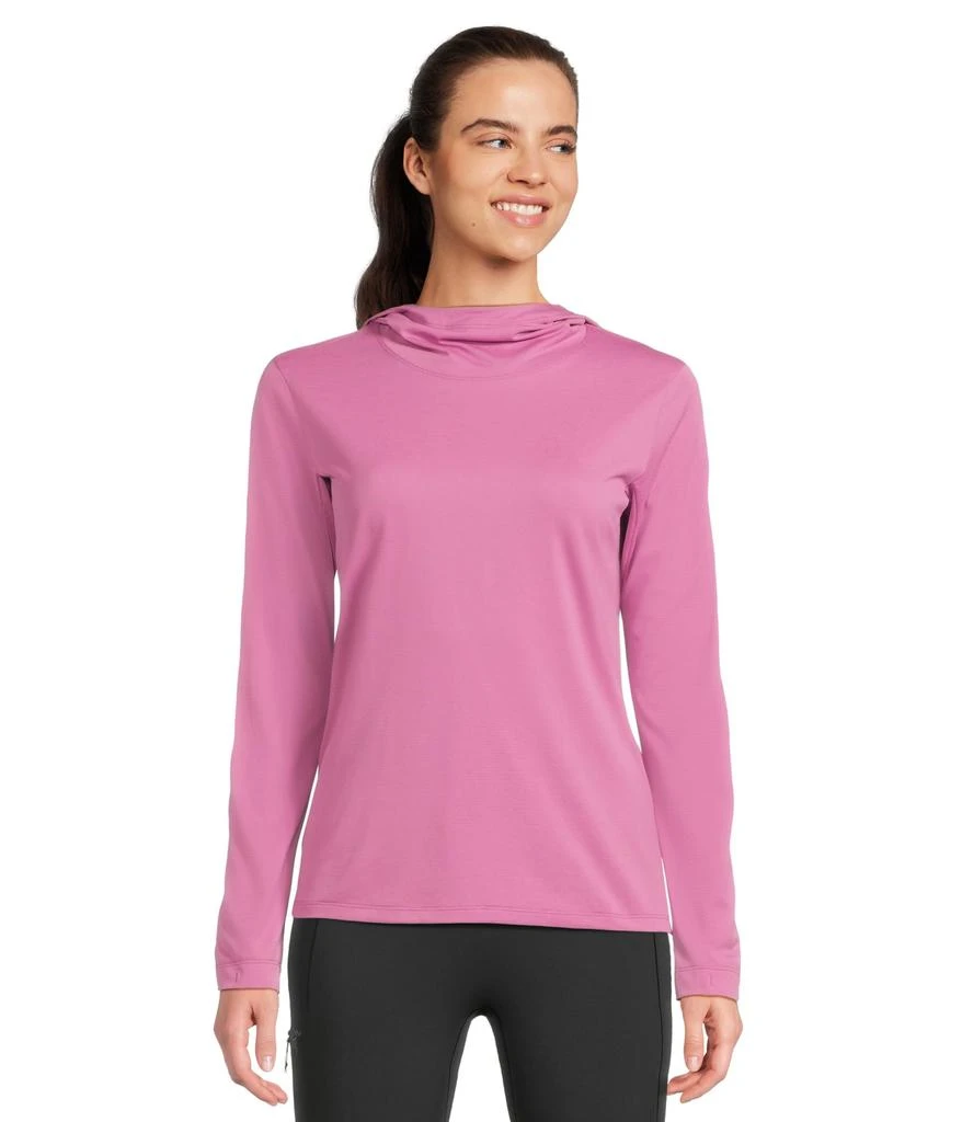 商品Arc'teryx|Taema Hoodie,价格¥754,第1张图片