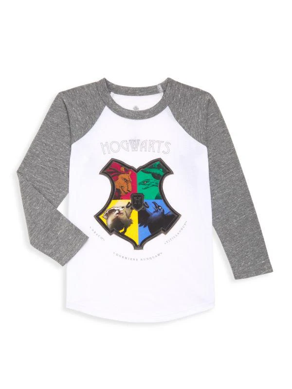 商品Chaser|Little Boy's & Boy's Vintage Jersey Raglan Blocked Baseball Tee,价格¥79,第1张图片