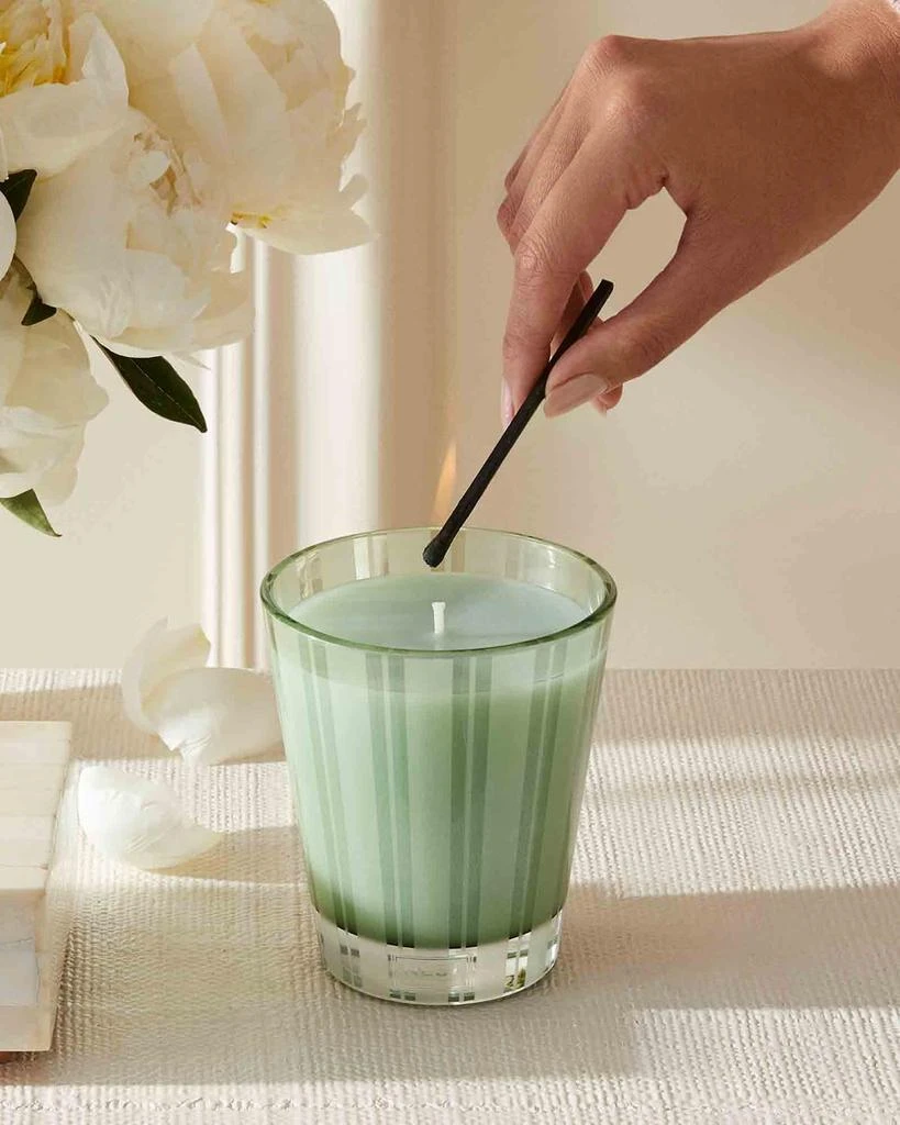 商品NEST New York|8.1 oz. Wild Mint & Eucalyptus Classic Candle,价格¥278,第4张图片详细描述
