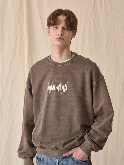 商品LE2|Pigment Adolescence Sweatshirts Cocoa,价格¥470,第2张图片详细描述