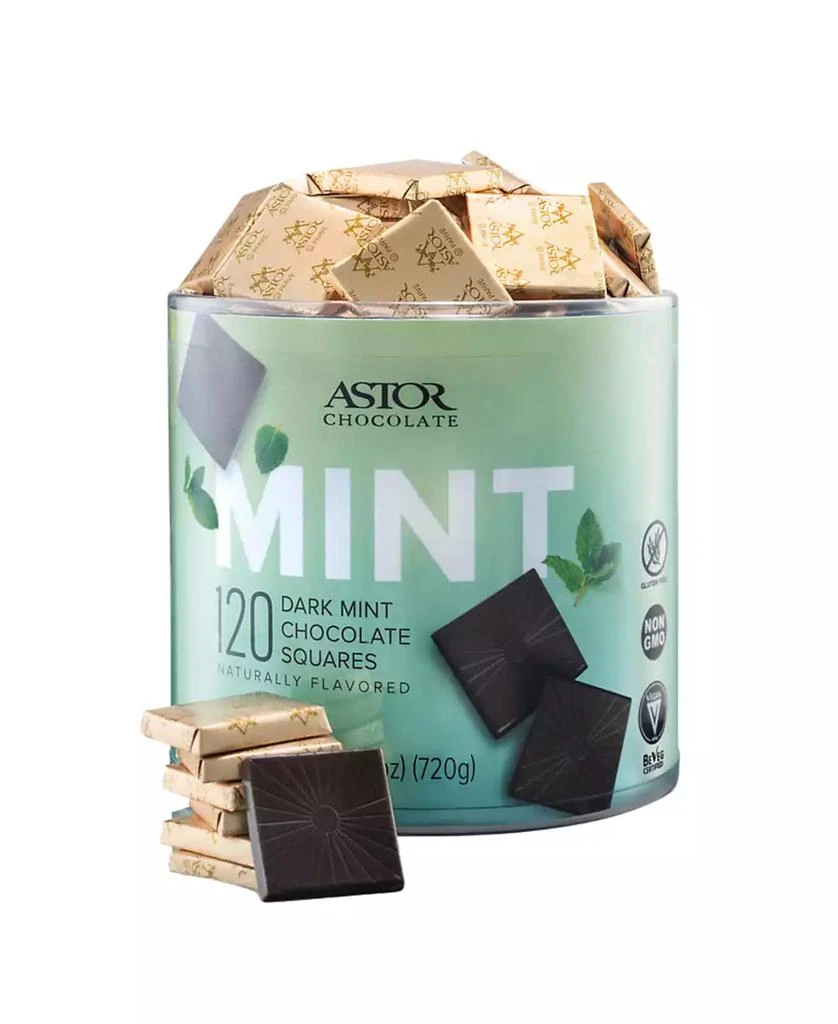 商品Astor Chocolate|Petite Dark Mint Chocolate Squares Tub, 120 Pieces,价格¥262,第1张图片