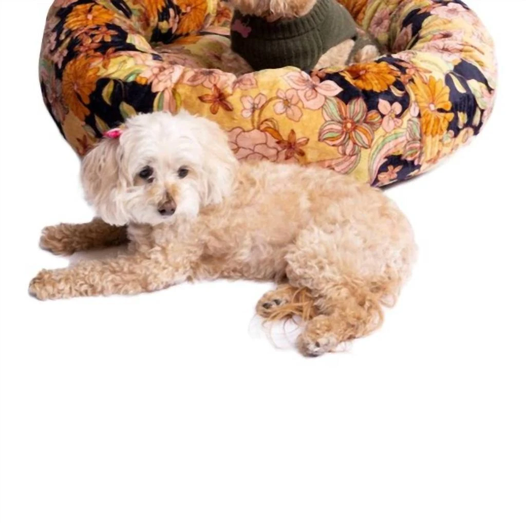 商品Johnny Was|Wonder Years Large Dog Bed In Multi,价格¥1094,第1张图片