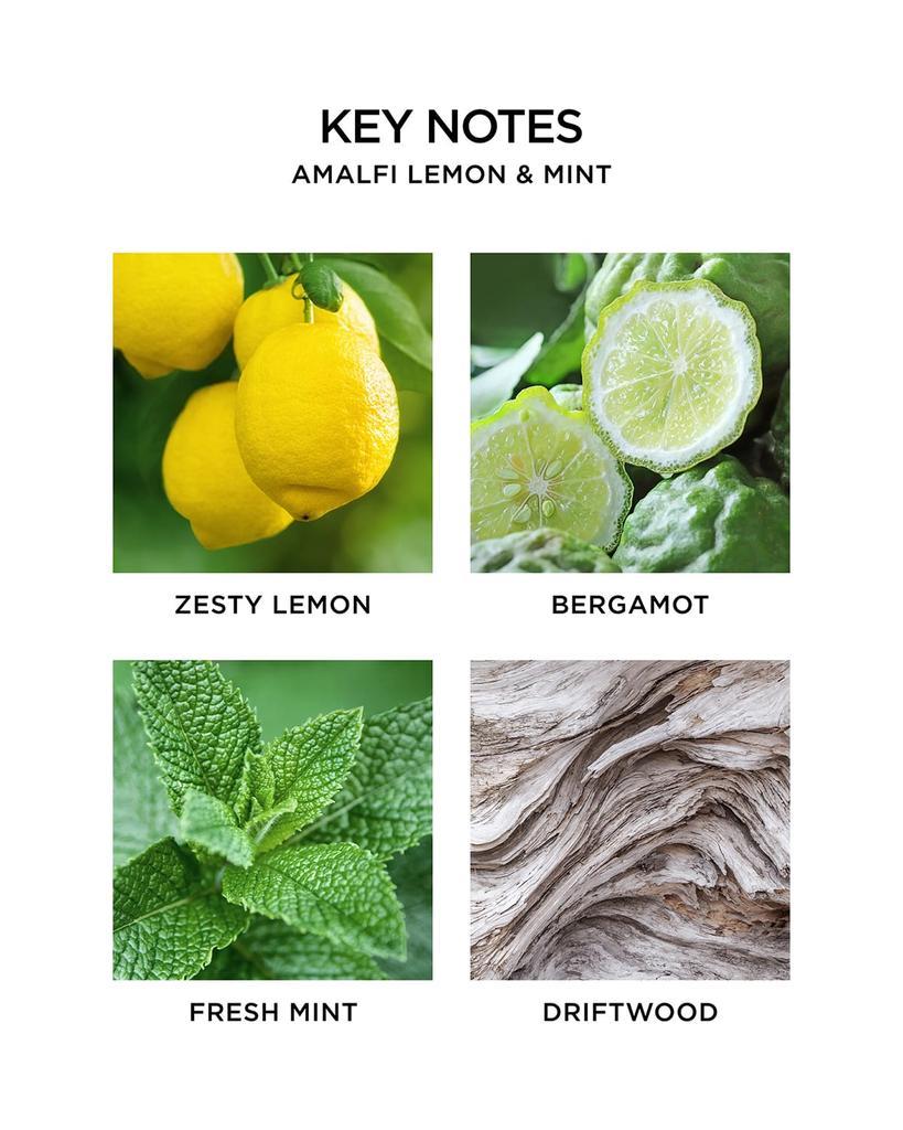 商品NEST New York|8.1 oz. Amalfi Lemon & Mint Classic Candle,价格¥334,第7张图片详细描述