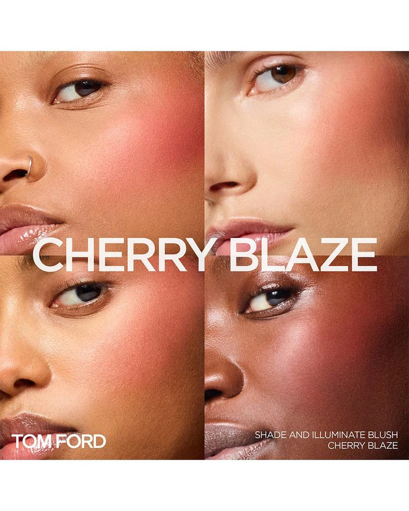 Shade & Illuminate Blush 商品