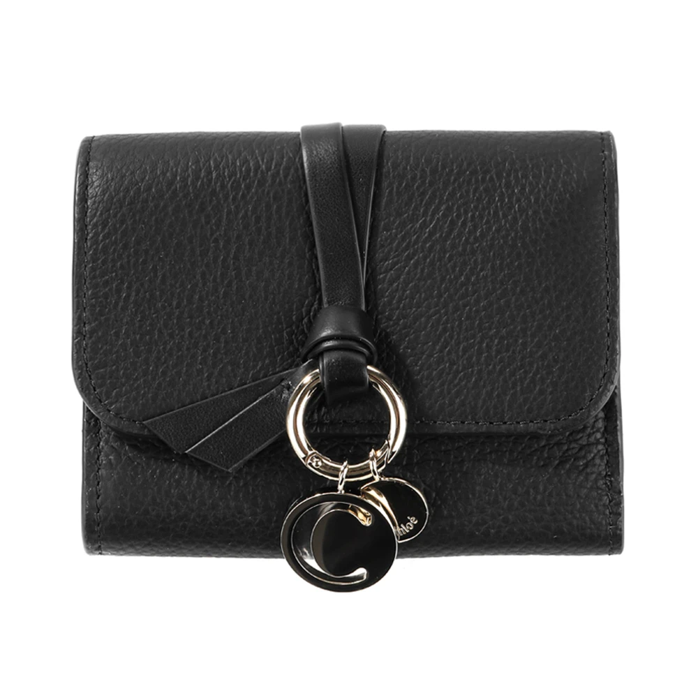 商品Chloé|Chloè 女士斜挎包 C21WP945-F57-001,价格¥2416,第1张图片