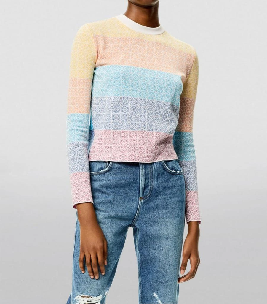 商品Loewe|Anagram Striped Sweater,价格¥6669,第3张图片详细描述