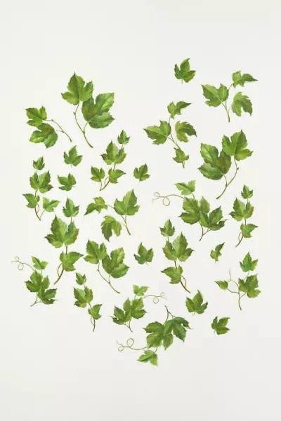 商品RoomMates|RoomMates Evergreen Ivy Peel And Stick Wall Decals,价格¥222,第2张图片详细描述