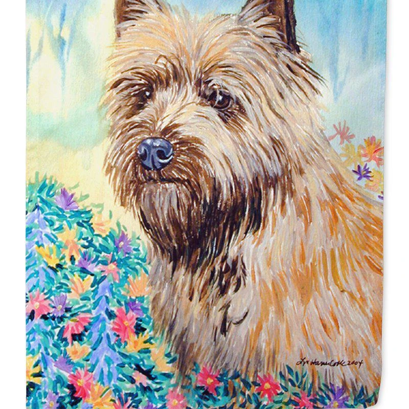 商品Caroline's Treasures|11 x 15 1/2 in. Polyester Cairn Terrier Garden Flag 2-Sided 2-Ply,价格¥137,第1张图片