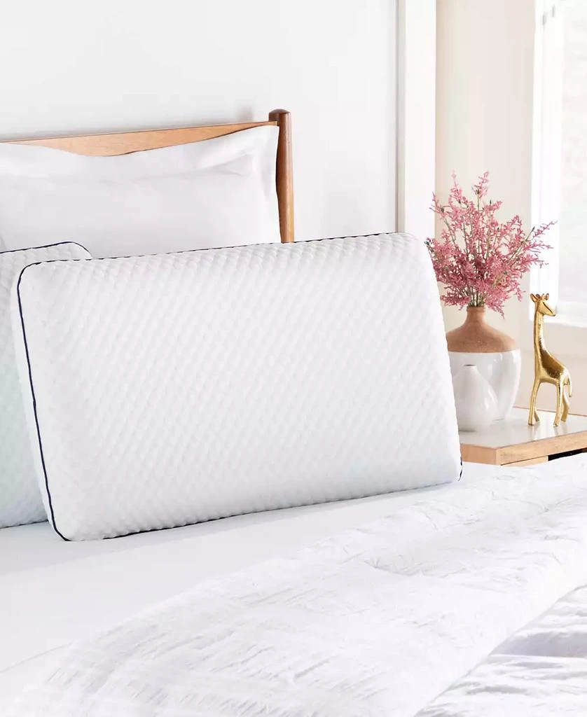 AlwaysCool Gel Memory Foam Pillow 商品
