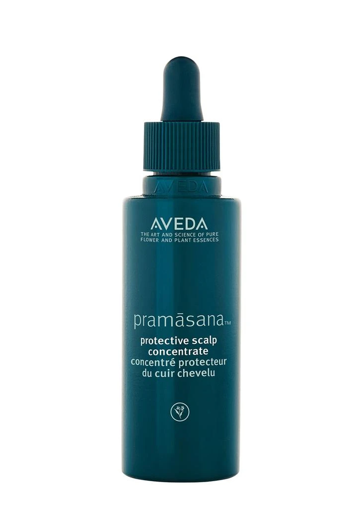 商品Aveda|Scalp Renewal Concentrate 75ml,价格¥384,第1张图片