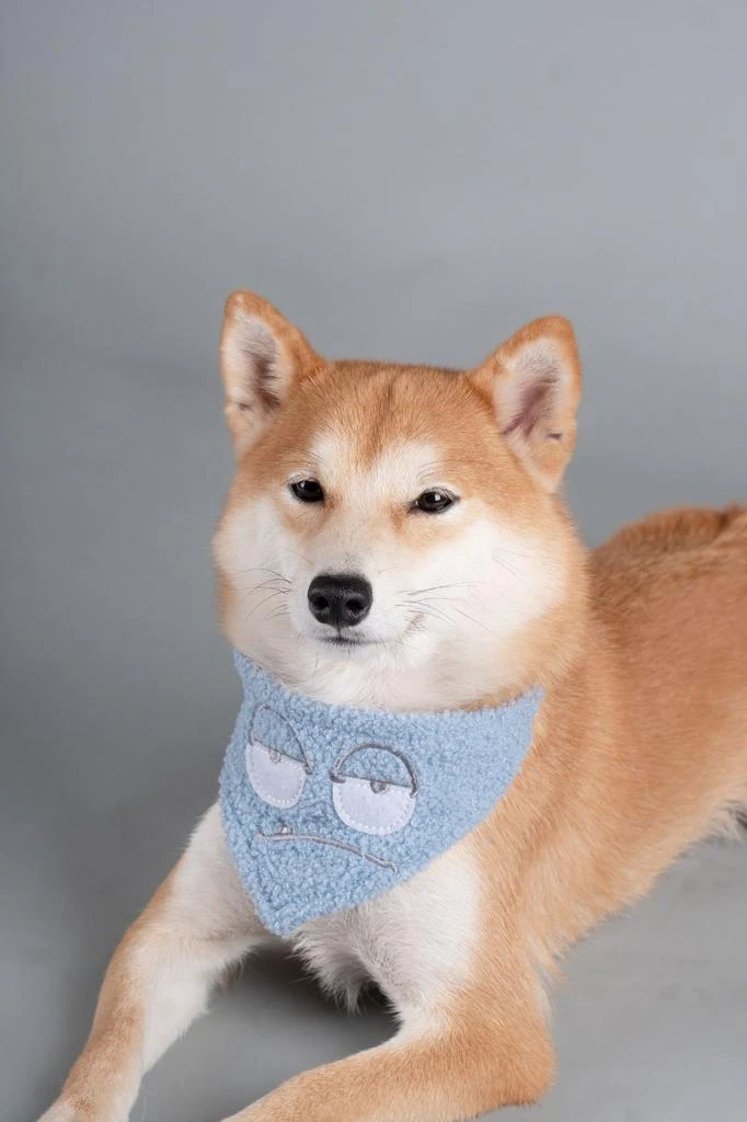 商品Touchdog|'Dizzy-Eyed Cyclops' Cotton Velcro Dog Bandana and Scarf,价格¥111,第4张图片详细描述