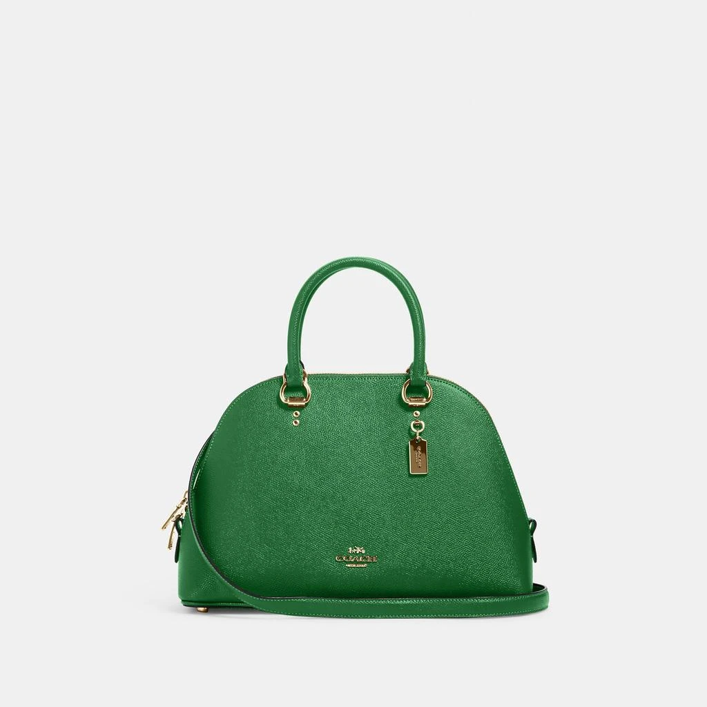 COACH Katy Satchel 商品