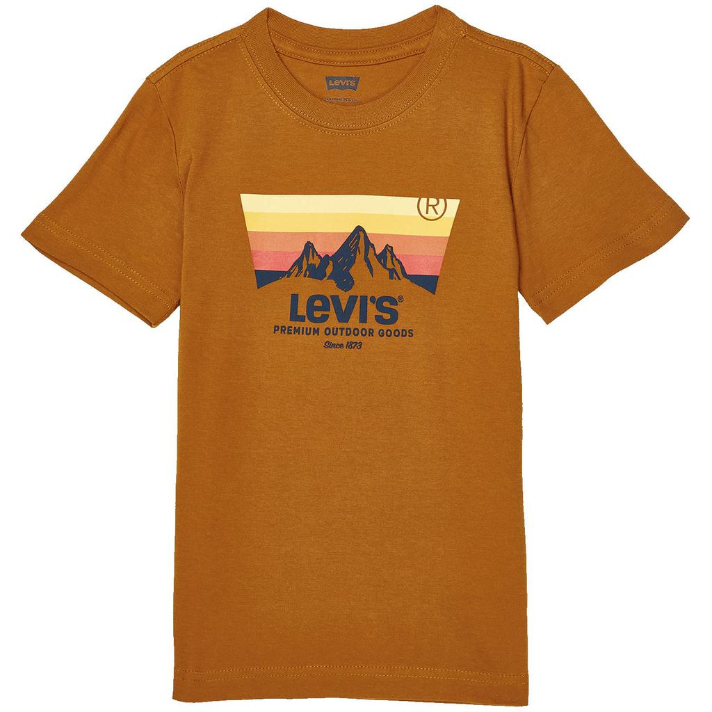 Mountain Batwing Tee (Big Kids)商品第1张图片规格展示