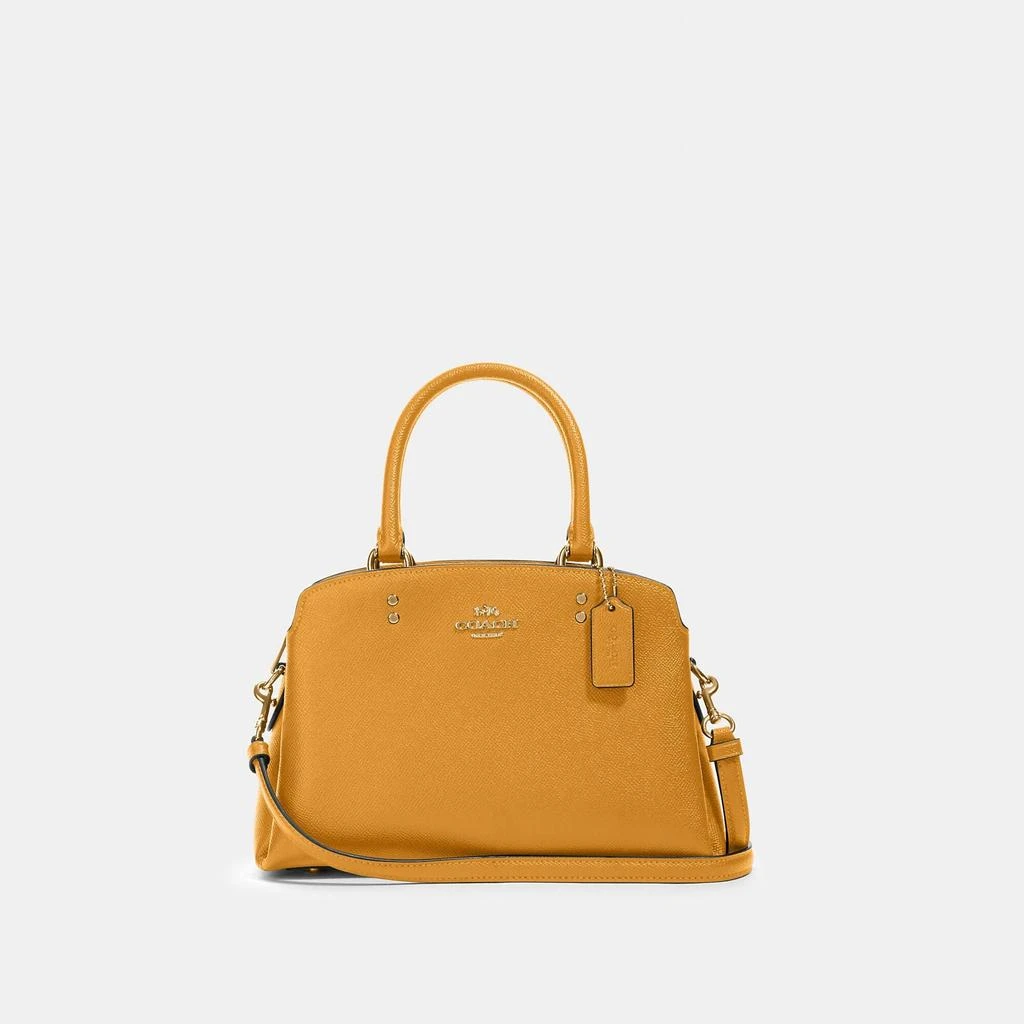 Coach Outlet Mini Lillie Carryall 商品