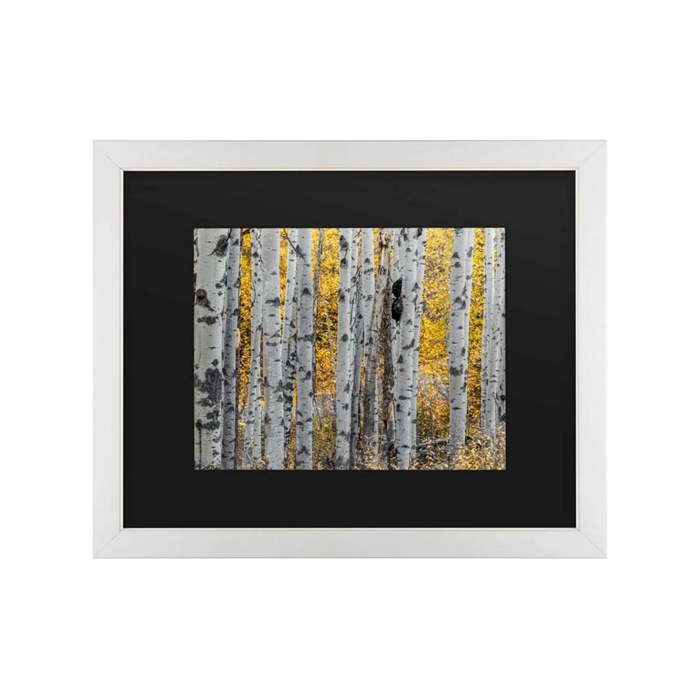 商品Trademark Global|Pierre Leclerc Aspen Trees Matted Framed Art - 20" x 25",价格¥432,第1张图片