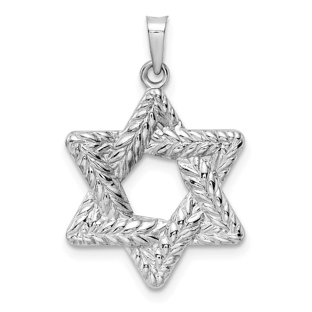 商品Diamond2Deal|14k White Gold Polished Textured Solid Star of David Pendant,价格¥2879,第1张图片