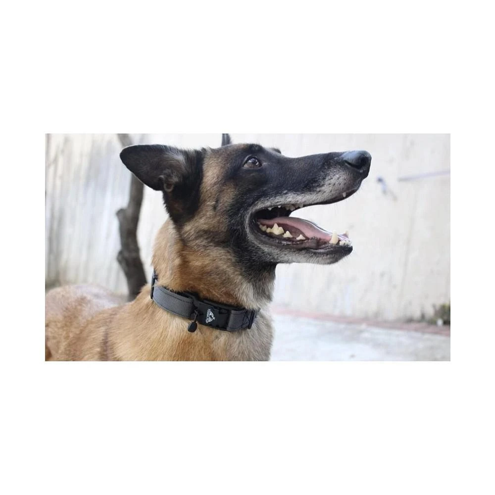 商品Tough Pup|Hawkins Medium Tactical Dog Collar,价格¥186,第2张图片详细描述