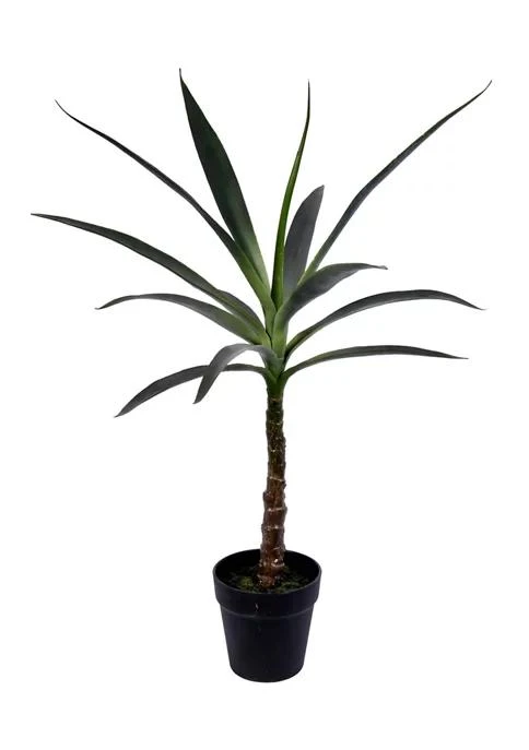 商品Vickerman|Green Yucca Tree In Black Planters Pot,价格¥565,第2张图片详细描述