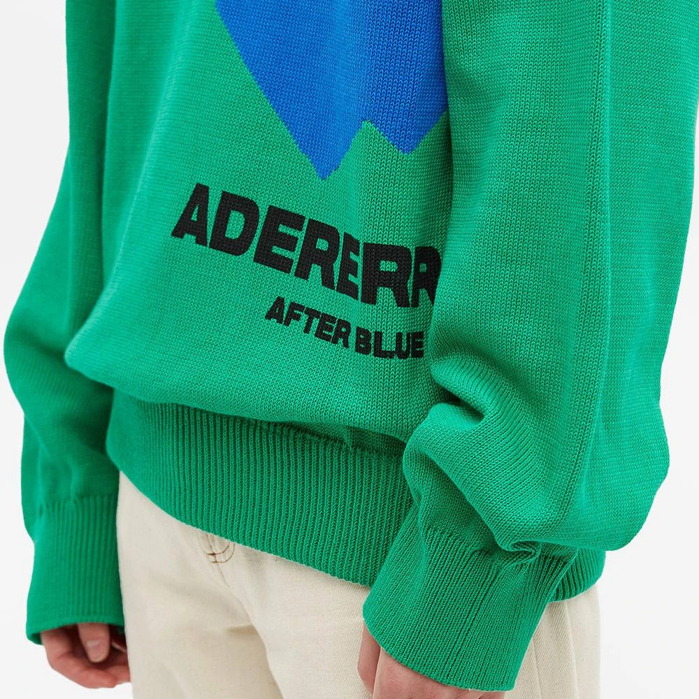 商品ADER error|ADER Error Together Logo Crew Knit,价格¥1625,第5张图片详细描述