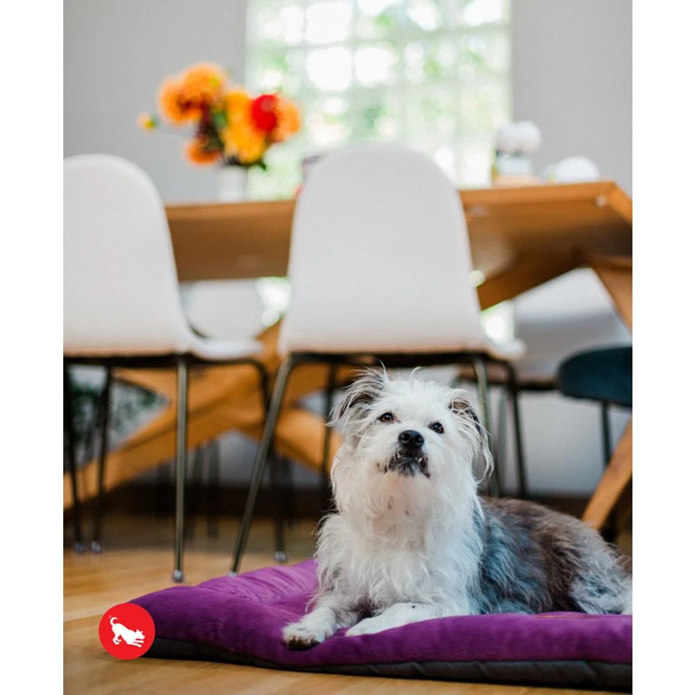 商品P.L.A.Y.|Chill Pad Pet Bed, Extra-Small,价格¥261,第1张图片