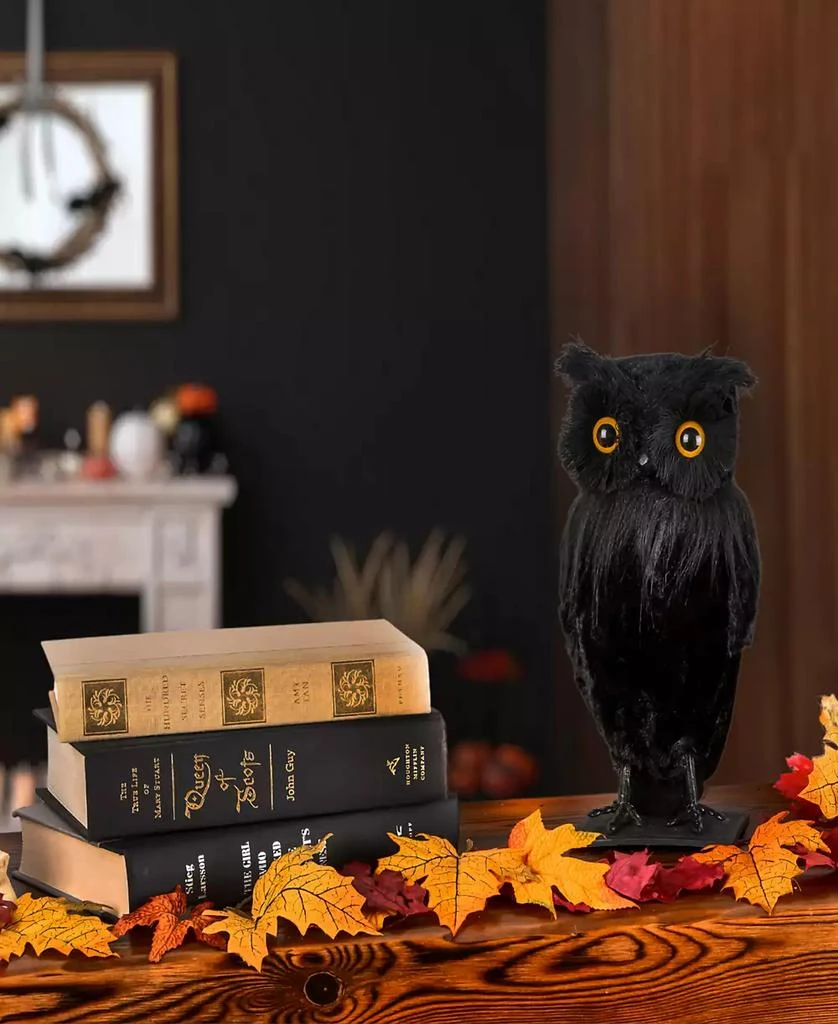 商品National Tree Company|11" Eerie Eyes Owl,价格¥698,第4张图片详细描述