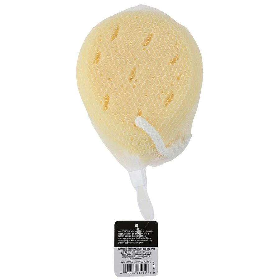 商品Studio 35|Faux Bath Sea Sponge,价格¥37,第2张图片详细描述
