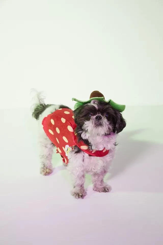 商品Urban Outfitters|Strawberry Dog Costume,价格¥76,第1张图片