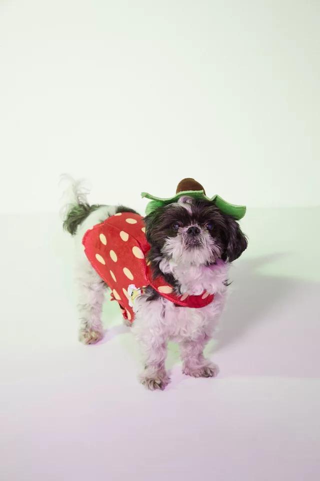商品Urban Outfitters|Strawberry Dog Costume,价格¥346,第3张图片详细描述