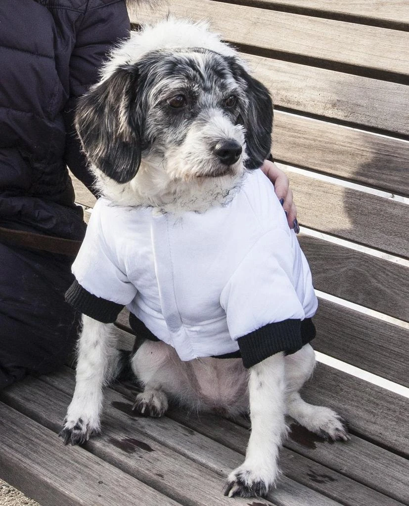 商品Pet Life|Aspen Winter-White Fashion Pet Parka Coat,价格¥304,第4张图片详细描述