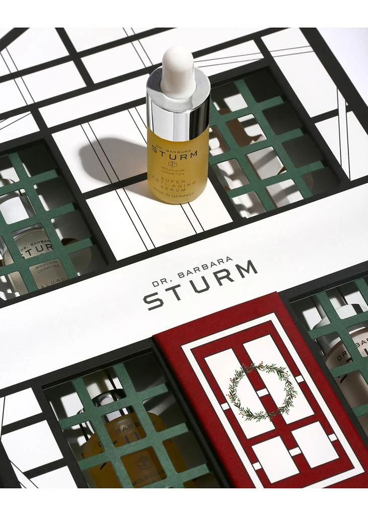 商品Dr. Barbara Sturm|Serum House,价格¥3206,第4张图片详细描述