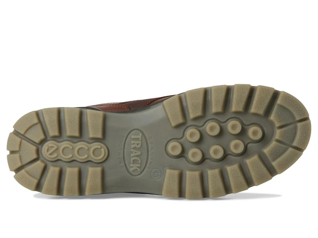 商品ECCO|Track 25 Low GORE-TEX Waterproof Hiking Shoe,价格¥1861,第3张图片详细描述