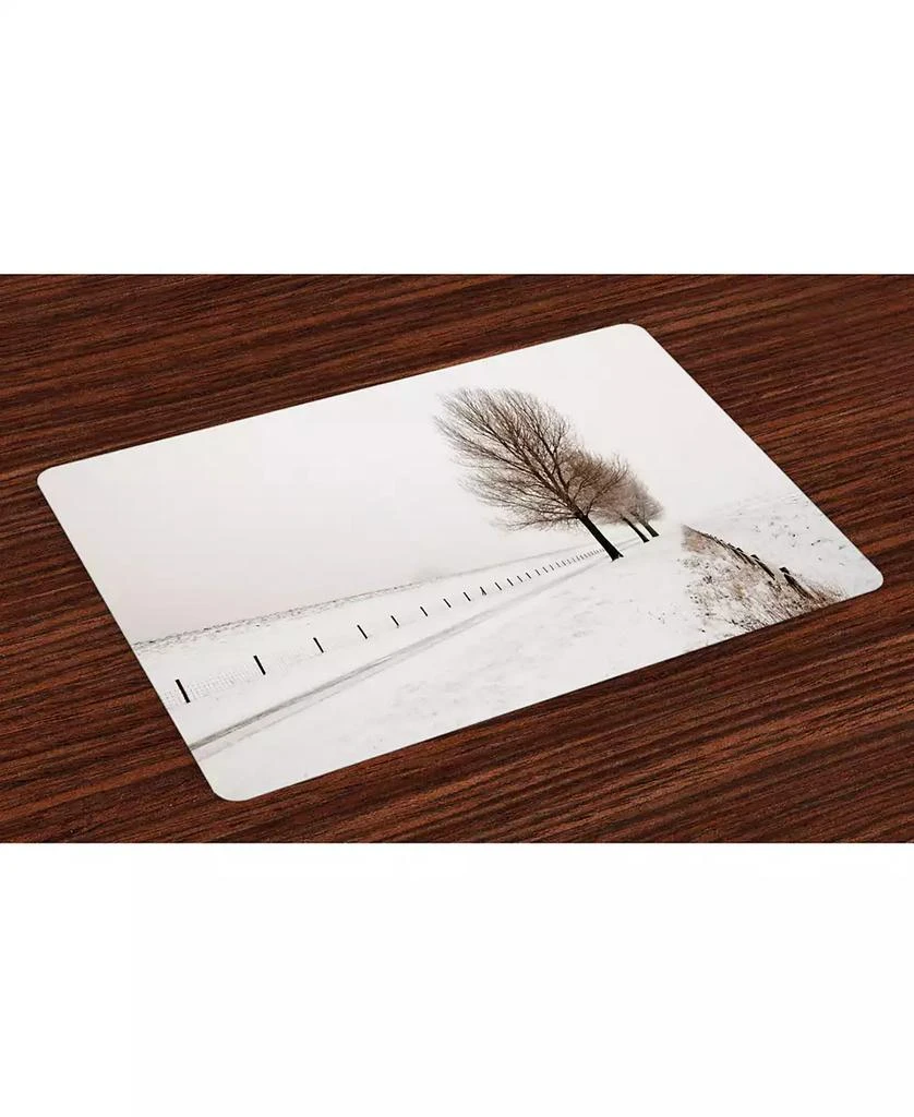 商品Ambesonne|Rustic Place Mats, Set of 4,价格¥477,第1张图片