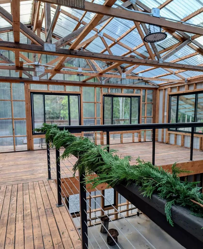 商品International Christmas Innovation|Fresh Premier Cedar Garland, 25',价格¥546,第2张图片详细描述