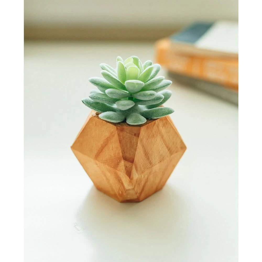 商品Flora Bunda|4.5" Artificial Succulent in Wood Pot, Set of 2,价格¥210,第3张图片详细描述