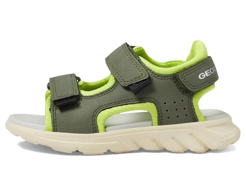 商品Geox|Sandal Airadyum 1 (Toddler/Little Kid/Big Kid),价格¥462,第4张图片详细描述