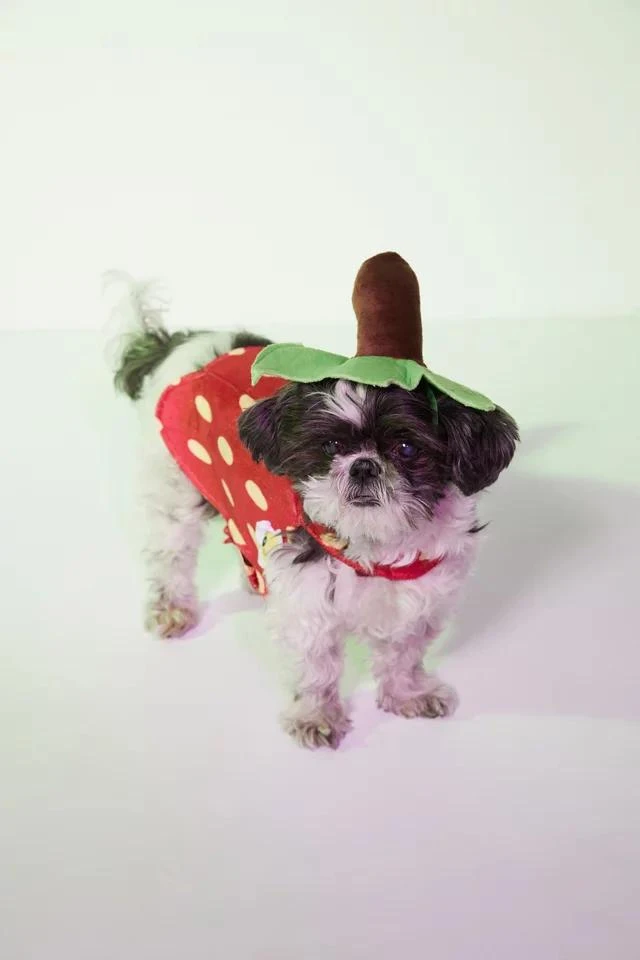 商品Urban Outfitters|Strawberry Dog Costume,价格¥76,第2张图片详细描述