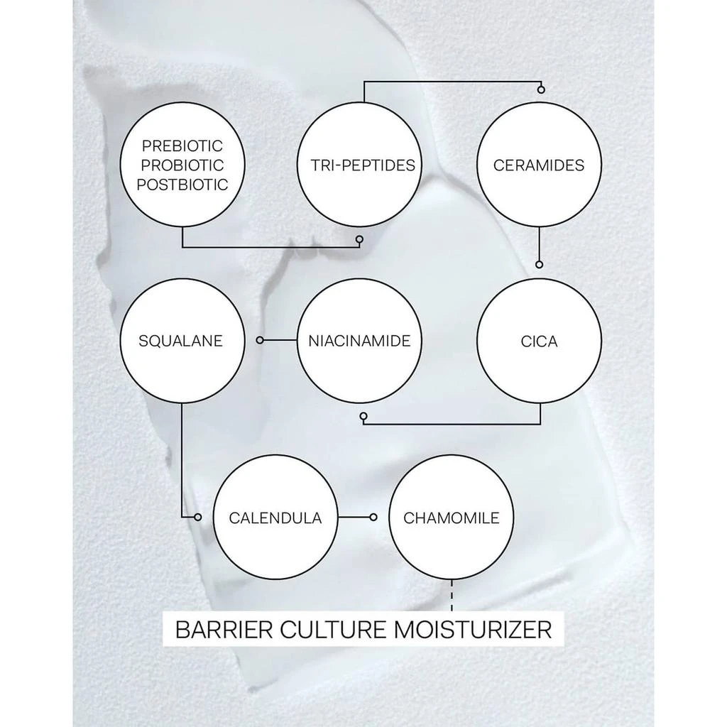 商品The Nue Co.|The Nue Co. Barrier Culture Moisturizer 50 ml.,价格¥544,第3张图片详细描述