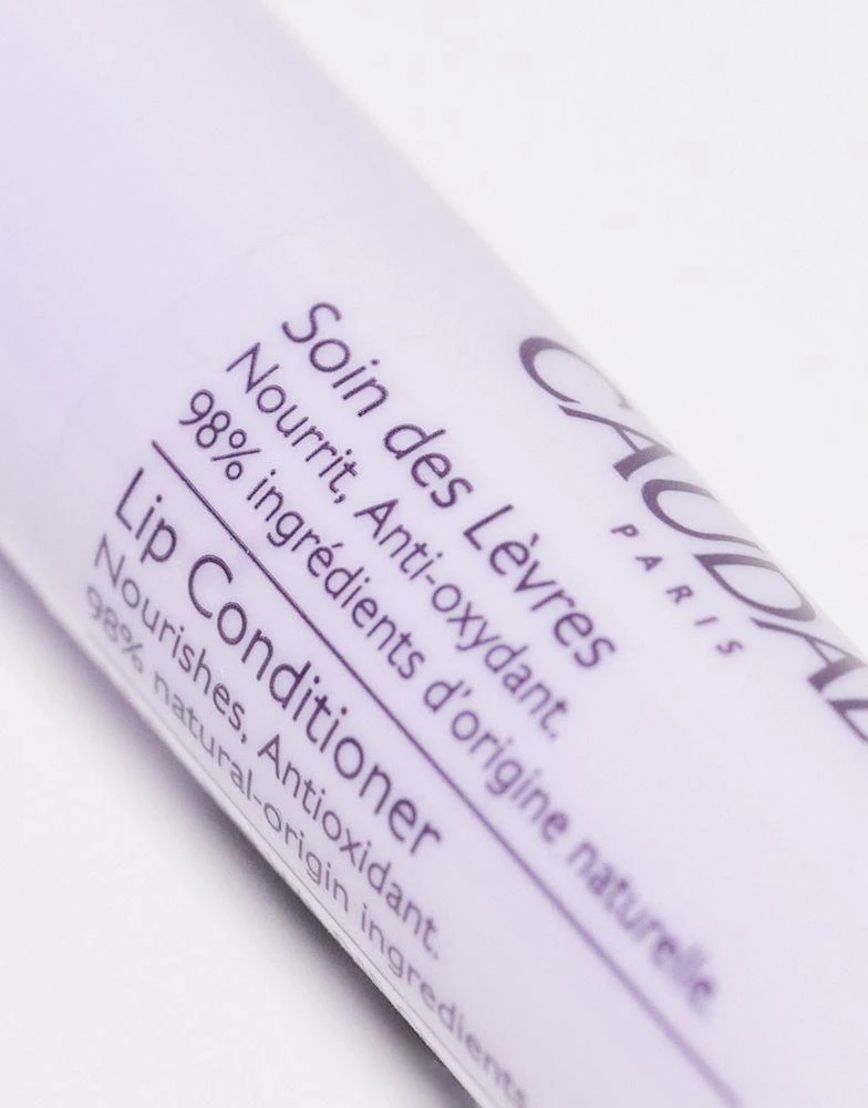 商品Caudalie|Caudalie Lip Balm Moisturising Conditioner,价格¥69,第3张图片详细描述