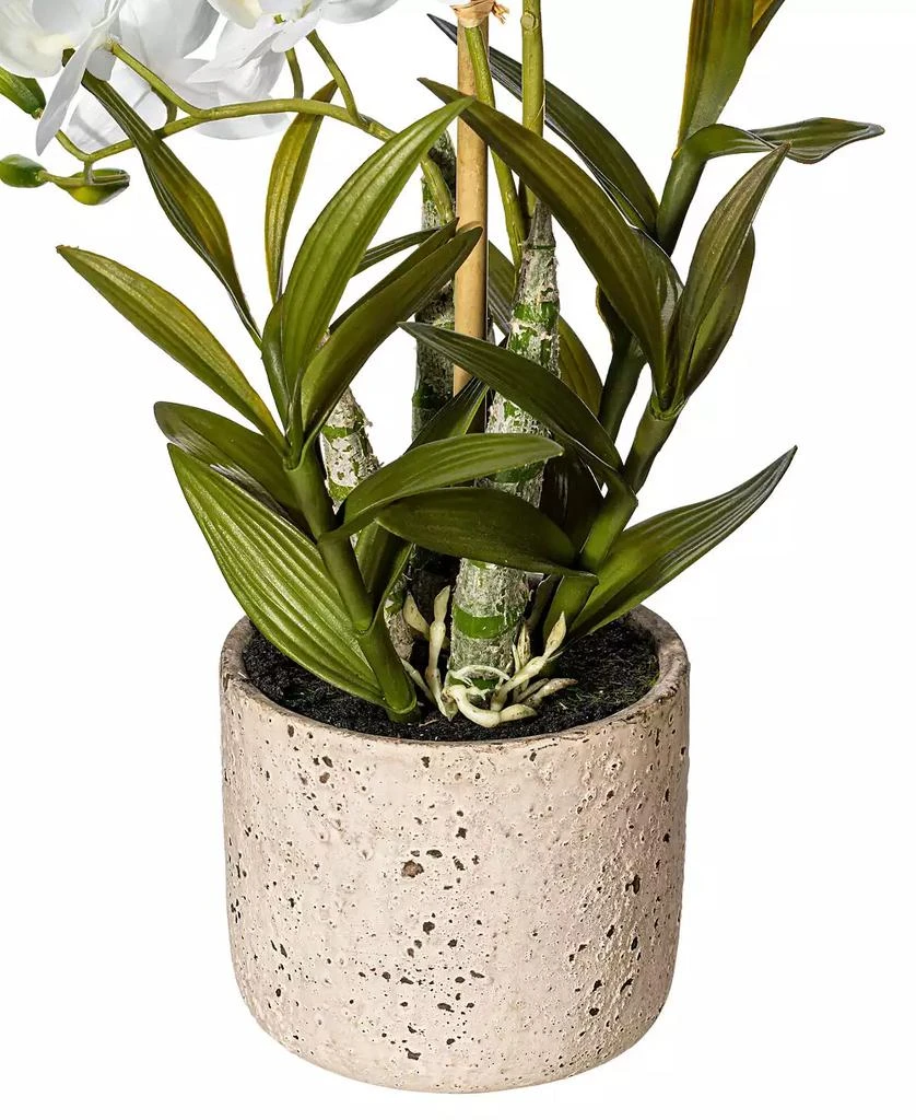 商品Vickerman|19" Artificial White Deluxe Potted Cycnoches Orchid.,价格¥563,第3张图片详细描述