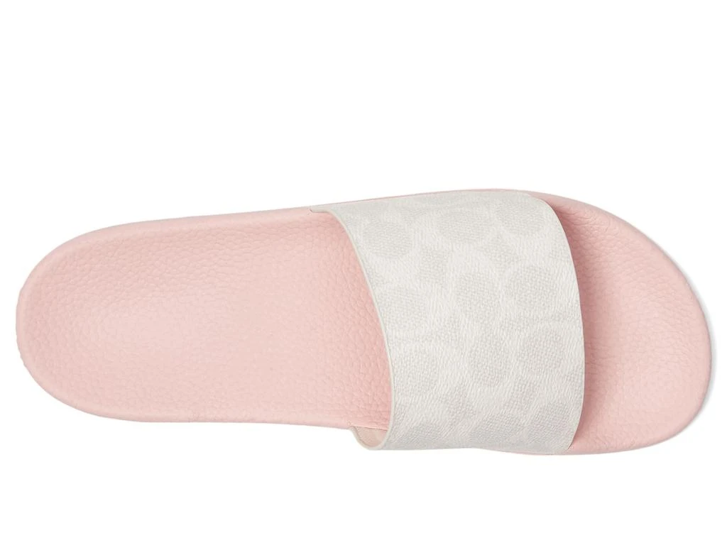 商品Coach|Udele Slide,价格¥762,第2张图片详细描述