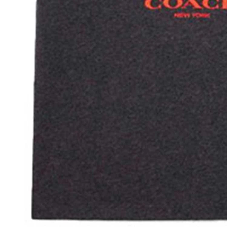 商品[国内直发] Coach|蔻驰  经典Logo标志圆领短袖T恤 男款 灰色,价格¥1863,第6张图片详细描述