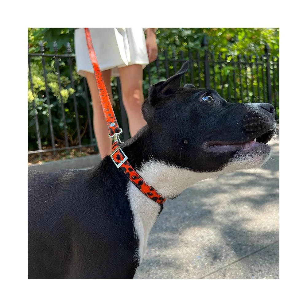 商品Shaya|RED LEOPARD LEATHER ADJUSTABLE TAYLOR PET COLLAR IN SMALL,价格¥730,第3张图片详细描述