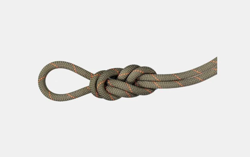 商品Mammut|9.9 Gym Workhorse Classic Rope,价格¥733,第1张图片